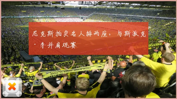 尼克斯拍卖名人排两座，与斯派克·李并肩观赛